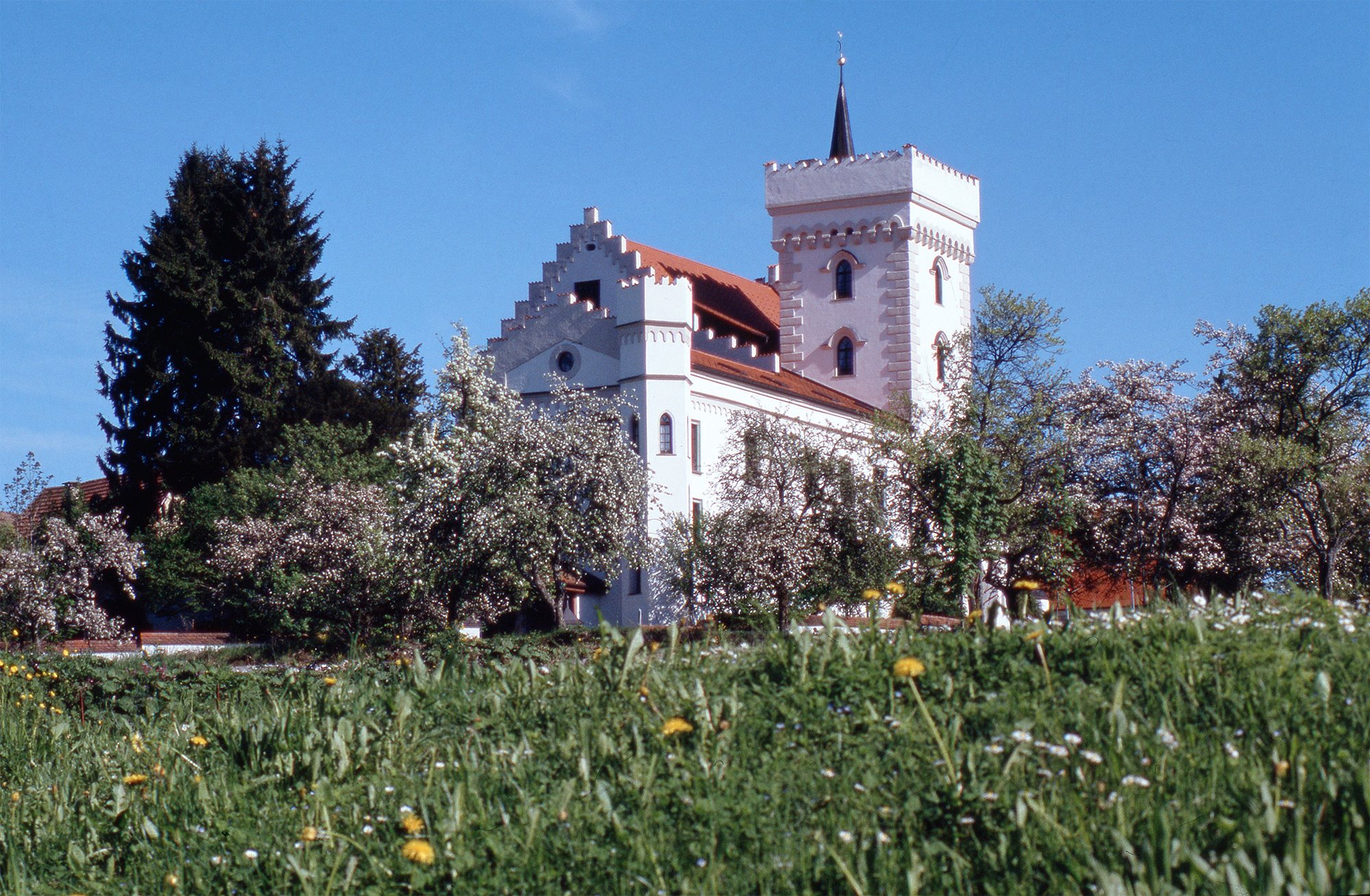 Humboldt Institut Dusseldorf Summer Camp